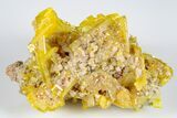 Orange Wulfenite and Botryoidal Mimetite - La Morita Mine, Mexico #183934-2